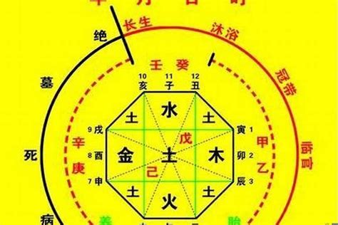 十神計算|生辰八字算命、五行喜用神查詢（免費測算）